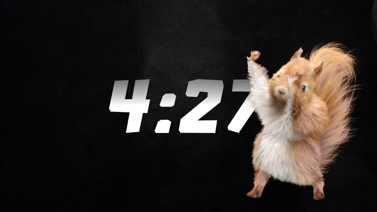 Dancing Squirrels 5-Minute Countdown image number null